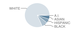 Middletown High School Student Race Distribution