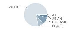 Stephen Olney School Student Race Distribution