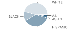Fallon Memorial School Student Race Distribution