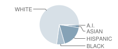 Potter-Burns School Student Race Distribution