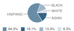 Asa Messer Elementary School Student Race Distribution