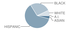 Edmund W. Flynn Elementary School Student Race Distribution