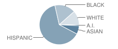 Samuel W. Bridgham Middle School Student Race Distribution