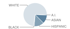 Park School Student Race Distribution