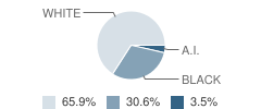 Wohali Academy (Charter) Student Race Distribution