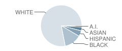 Brashier Middle College (Charter) School Student Race Distribution