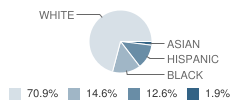Okatie Elementary School Student Race Distribution