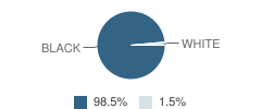 Mccrorey-Liston Elementary School Student Race Distribution