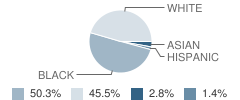Bridgewater Academy (Charter) Student Race Distribution