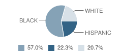 South Side School Student Race Distribution