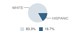 Johnson County Juvenile Justice Alternative Education Program (Jjaep) School Student Race Distribution