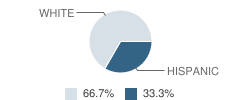Denton County Juvenile Justice Alternative Education Program (Jjaep) School Student Race Distribution
