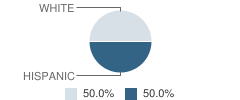Travis County Juvenile Justice Alternative Education Program (Jjaep) School Student Race Distribution