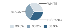 Wilson County Juvenile Justice Alternative Education Program (Jjaep) School Student Race Distribution
