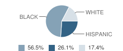 Juvenile Justice Alternative Education Program (Jjaep) School Student Race Distribution