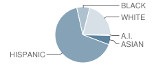 Harmony Science Academy (San Antonio) Student Race Distribution