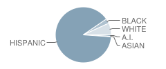 Harmony Science Academy (El Paso) Student Race Distribution