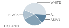 Harmony Science Academy (Fort Worth) Student Race Distribution