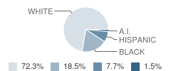 Stars (Southeast Texas Academic Recovery School) Student Race Distribution