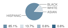 Radiance Academy of Learning (Del Rio) Student Race Distribution