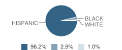 Radiance Academy of Learning (International) Student Race Distribution