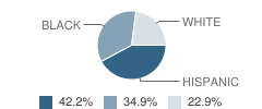 Radiance Academy of Learning (Daystar) Student Race Distribution