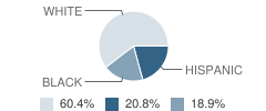 Shekinah Radiance Academy (Dallas Center) Student Race Distribution
