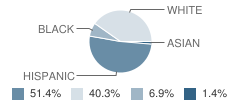 Shekinah Radiance Academy (Garland) Student Race Distribution