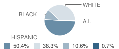 Richard Milburn Academy (Midland) Student Race Distribution