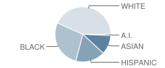 Harmony Science Academy (Beaumont) Student Race Distribution