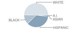 Harmony Science Academy (College Station) Student Race Distribution