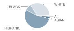 Harmony Science Academy (Waco) Student Race Distribution