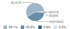 Leader's Academy Student Race Distribution