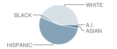Heritage Elementary School Student Race Distribution