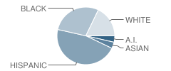 Ami Kids Rio Grande Valley (Fka Rgmi) School Student Race Distribution