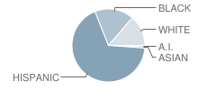 Sheldon Early Childhood Academy Student Race Distribution