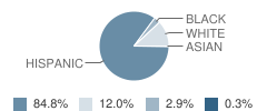 Hemphill Elementary School Student Race Distribution