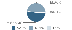 Nova Charter School (Southeast) Student Race Distribution