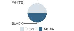 Bexar County Juvenile Justice Alternative Education Program (Jjaep) School Student Race Distribution