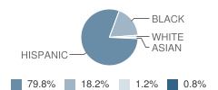 De Santiago (Early Childhood) Ec / Pre-Kindergarten Center School Student Race Distribution
