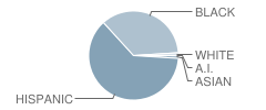 Vines (Early Childhood) Ec / Pre-Kindergarten Center School Student Race Distribution