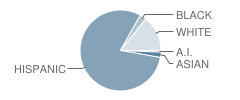 Sunset Valley Elementary School Student Race Distribution