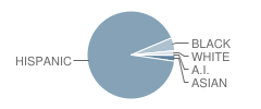 Wooldridge Elementary School Student Race Distribution