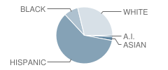 Covington Middle School Student Race Distribution