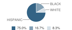 Matagorda County Juvenile Justice Alternative Education Program (Jjaep) School Student Race Distribution