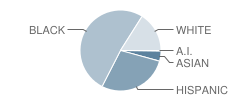 Vincent Middle School Student Race Distribution