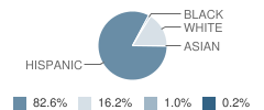 R A Hall Elementary School Student Race Distribution