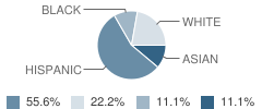 Tarrant County Juvenile Justice Alternative Education Program (Jjaep) School Student Race Distribution