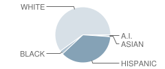 Blanco Elementary School Student Race Distribution