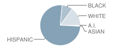 Mcmullan Primary School Student Race Distribution